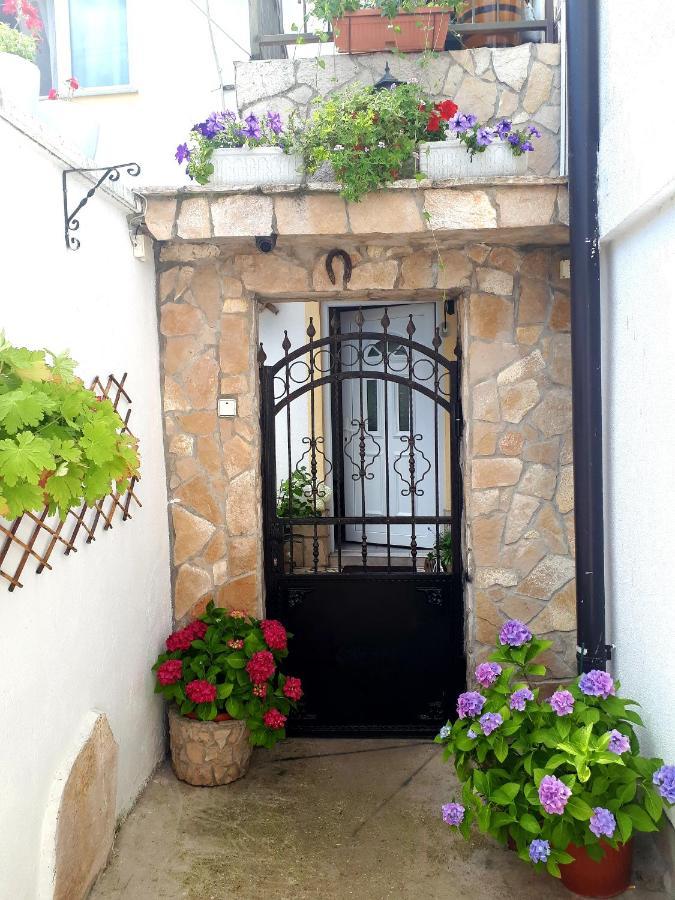 Hostel Miran